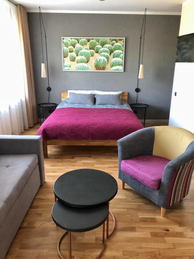 Kaktuss Apartamenti Smiltene Exterior foto