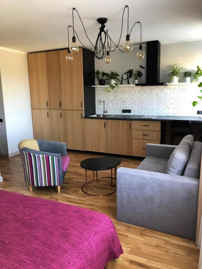 Kaktuss Apartamenti Smiltene Exterior foto